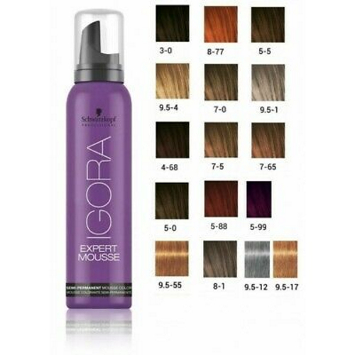 Schwarzkopf Professional Igora Expert Mousse