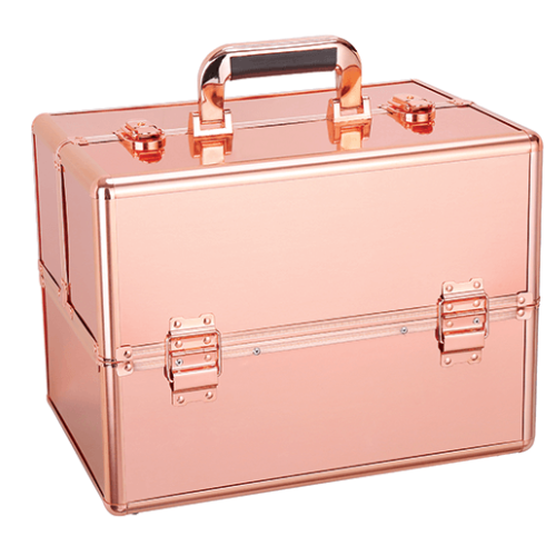 Rose gold vanity 2025 case