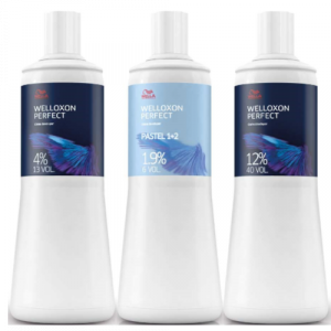 Welloxon 20V 6% Developer 1L