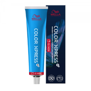 COLOR XPRESS PERMANENT COLOR 10/